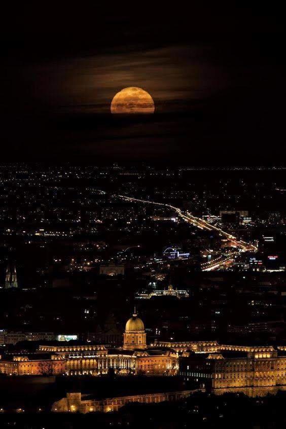 Artemisia Luxury Jardin Apartament Budapesta